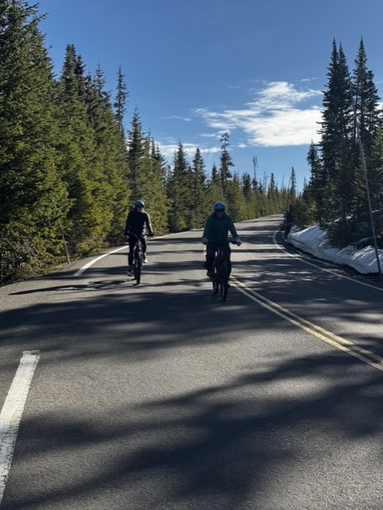 eBike Trail Ridge Road: 3-Hour Guided Ride from Grand Lake into Rocky Mountain Tundra photo 3