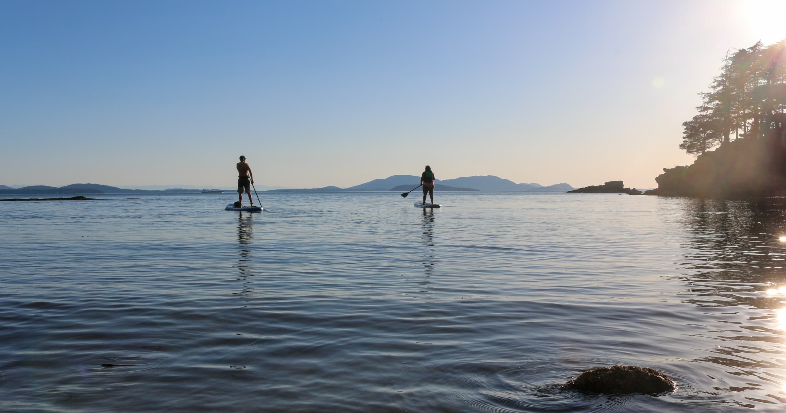 Wildcat Cove Paddle fleet