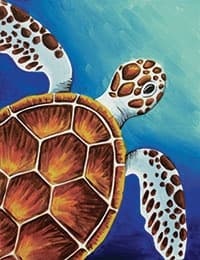 Wildlife & Nature: Cheers Pablo - Woodbury Sea Turtle Adventure