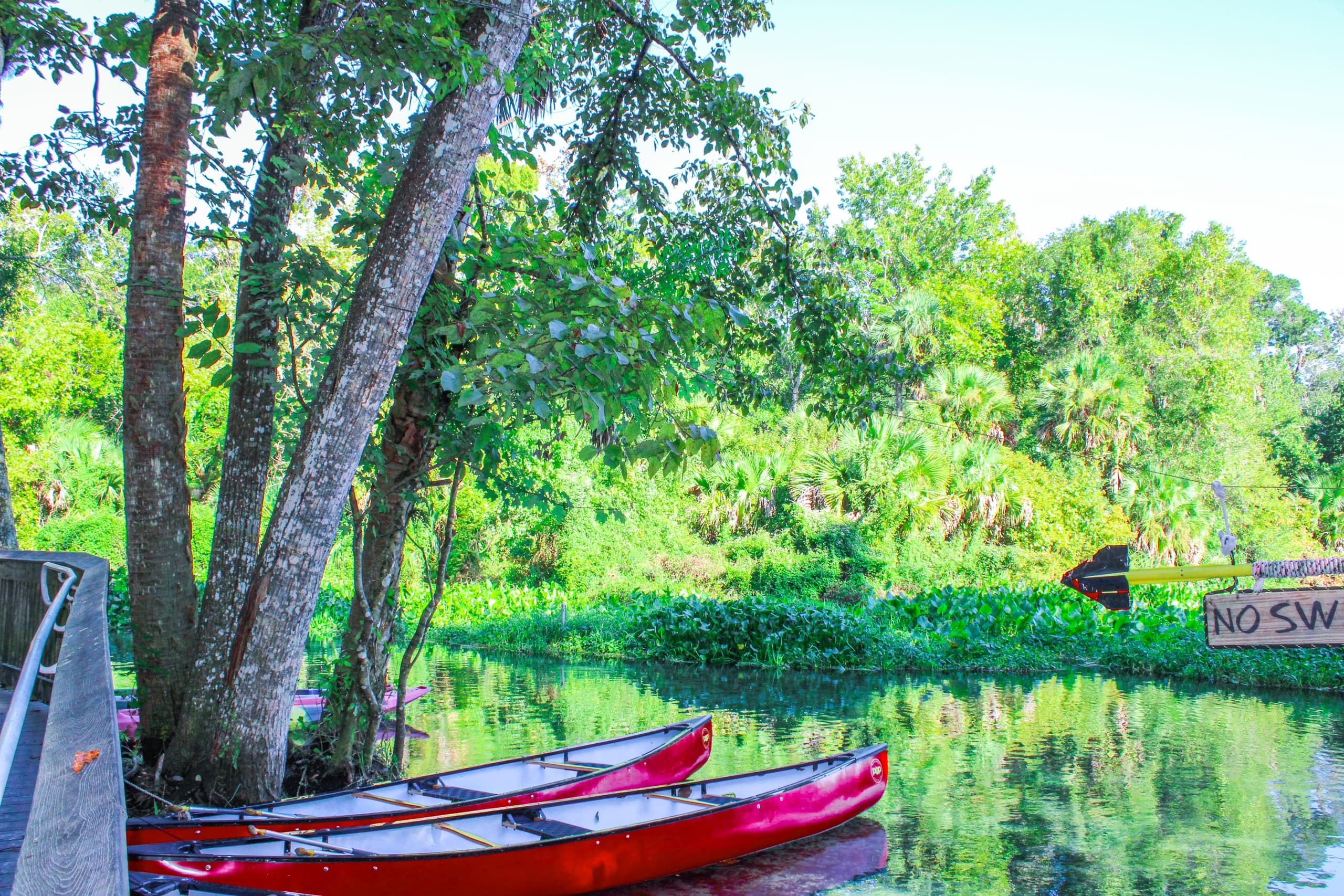 Red canoes moored at riverside dock under shady trees