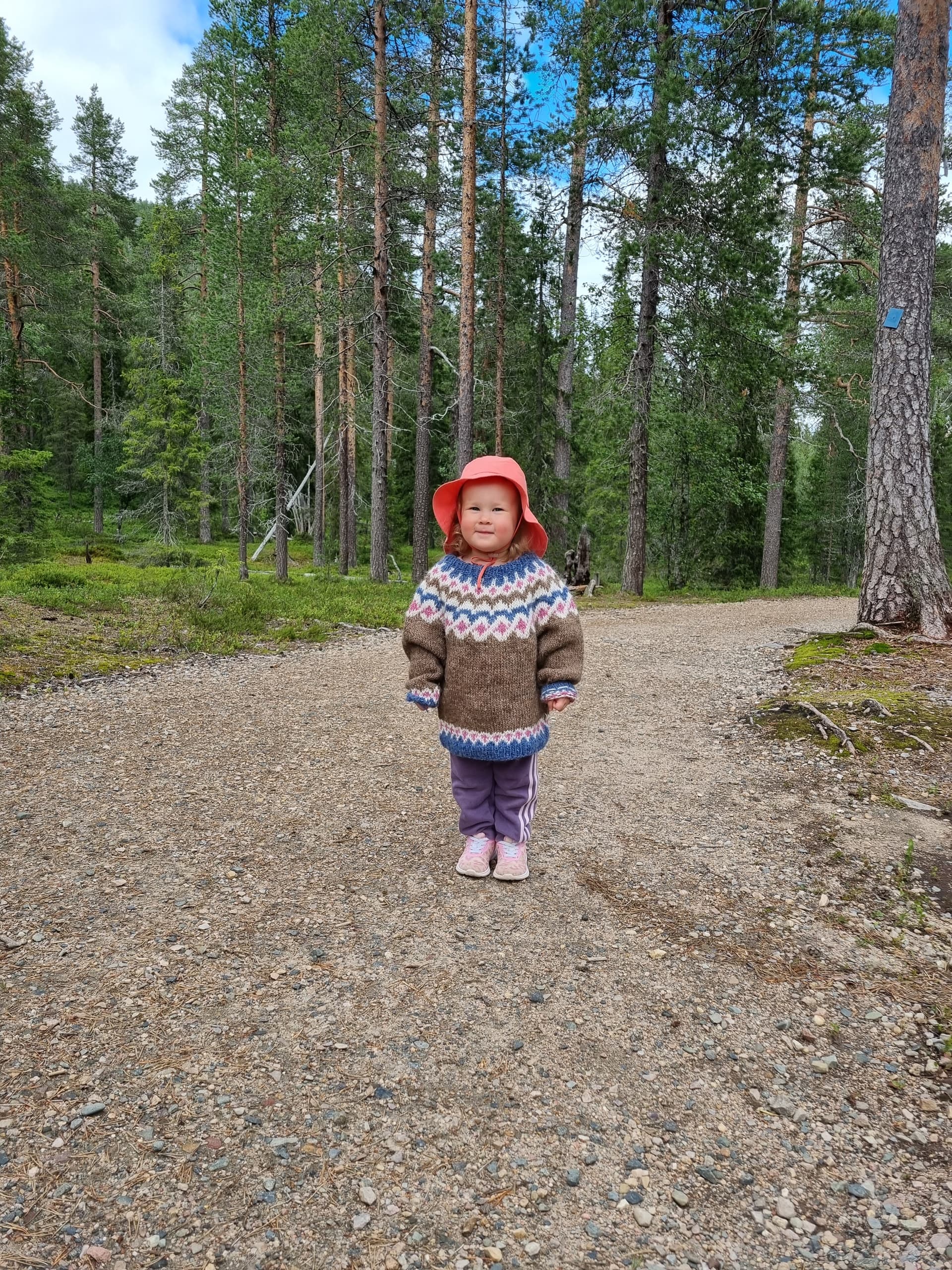 Secrets of Pyhä-Luosto: Easy Guided Hike through Lapland Fells
