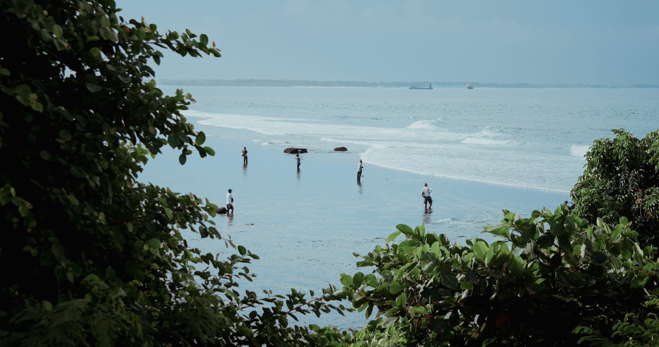 Paddleboarders and waders in calm tropical bay viewed through foliage