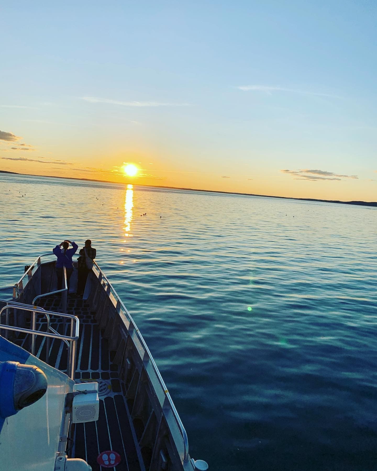 Sunset Happy Hour Nature Cruise in Bar Harbor, Maine