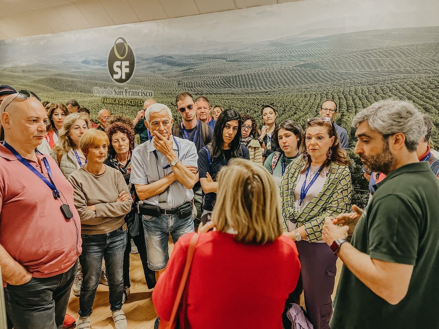 Inside Jaén's Olive Mills: Tasting & Tech at Oleícola San Francisco