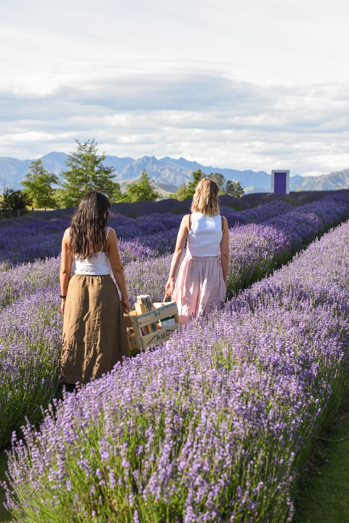 Picnic Experience at Wanaka Lavender Farm, Otago NZ