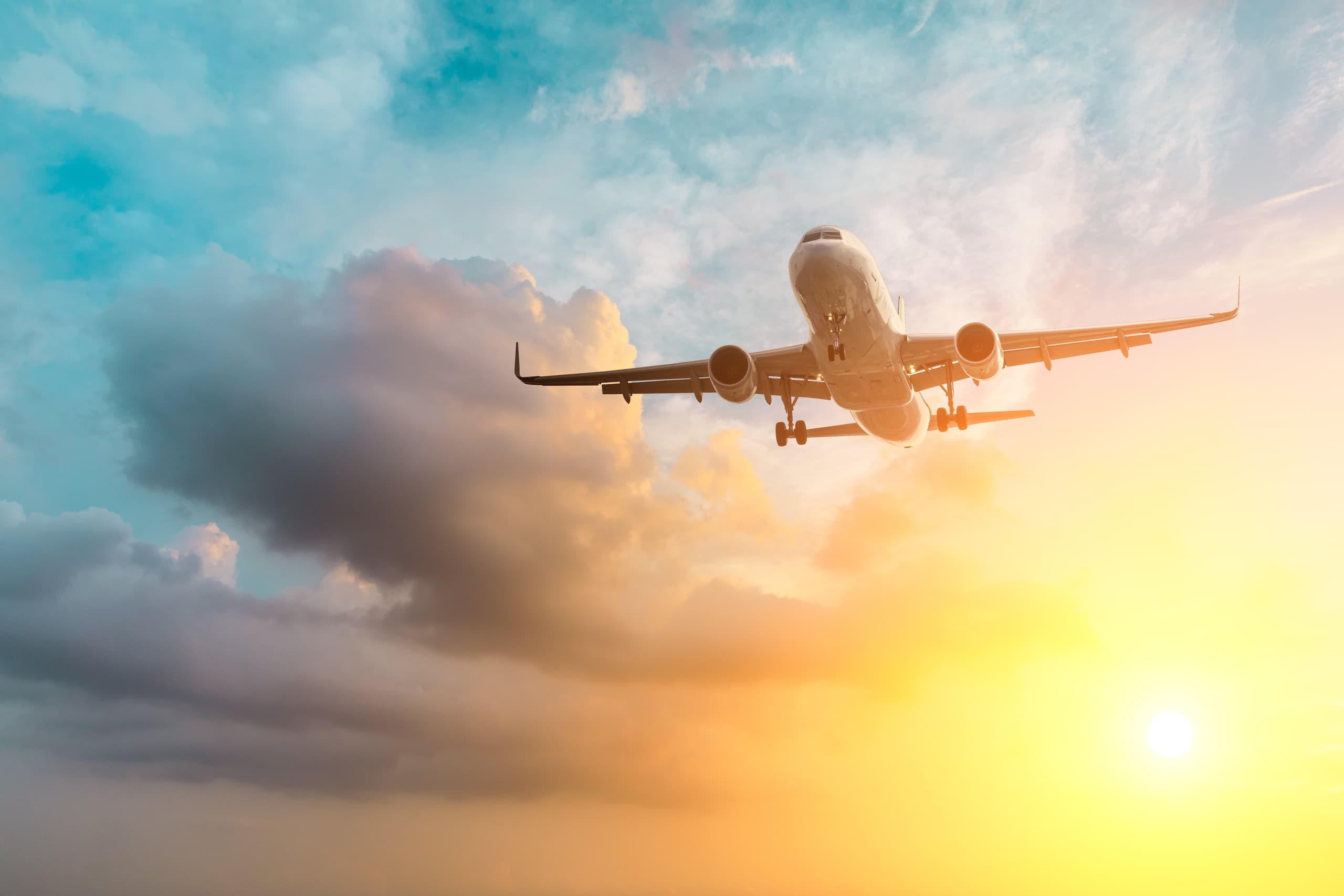 Private Transfer from Viterbo to Fiumicino Airport — Stress-Free Door-to-Door Shuttle to Rome (FCO)