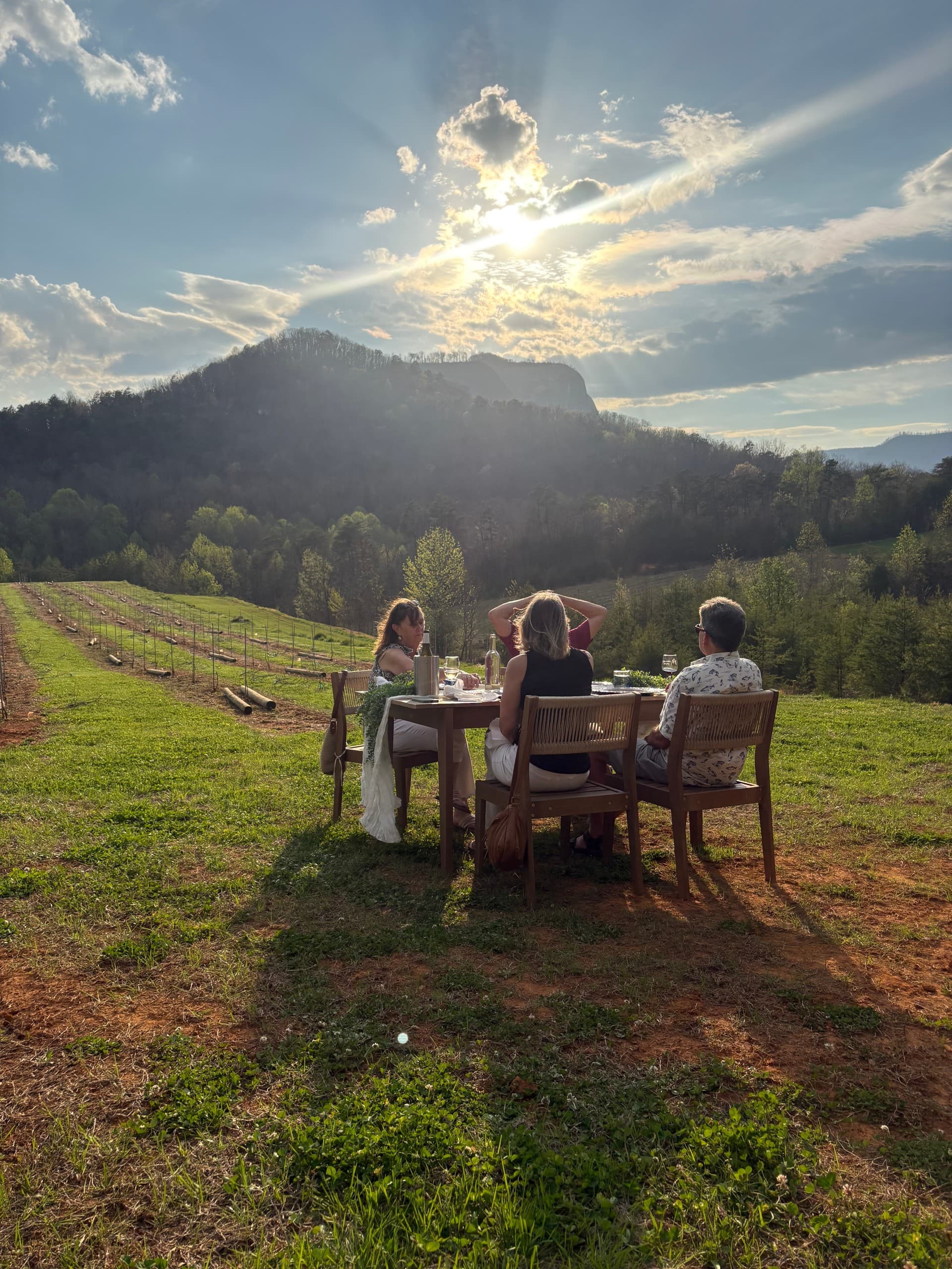 First Friday Dinners at Victoria Valley Vineyards — Upstate South Carolina Wine & Three-Course Dinners photo 2