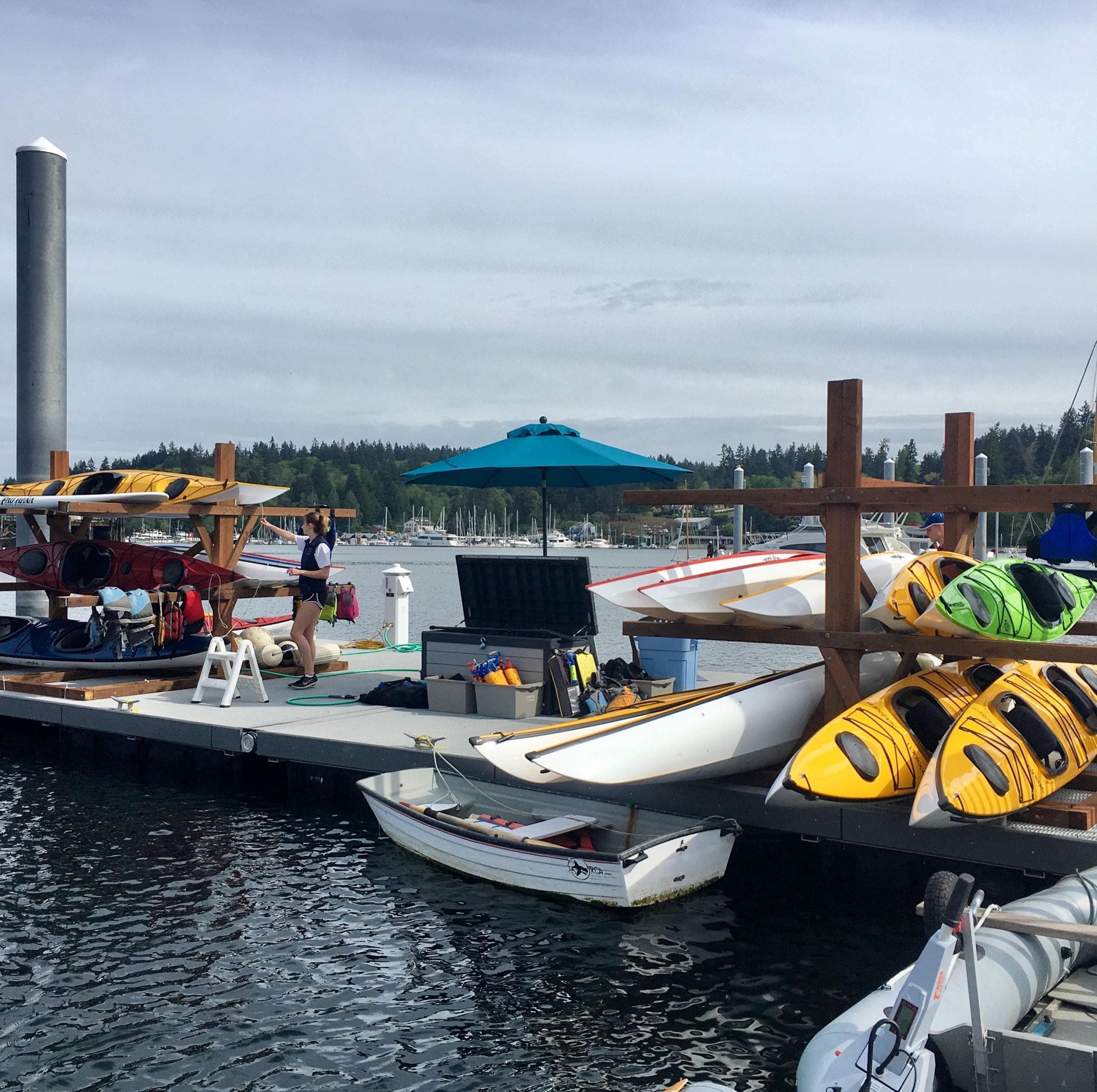 Kayak & Paddleboard Rentals at Exotic Aquatics in Poulsbo