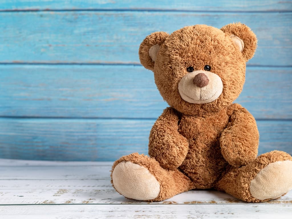 Create Your Own Teddy Bear Adventure in Breckenridge: Build-a-Buddy Kits Experience
