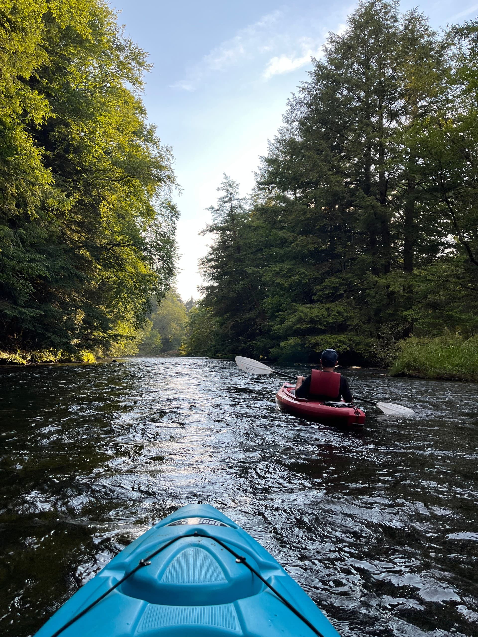 Paddle the West Branch Clarion River — Wilcox to Johnsonburg 7-Mile PA Wilds Float