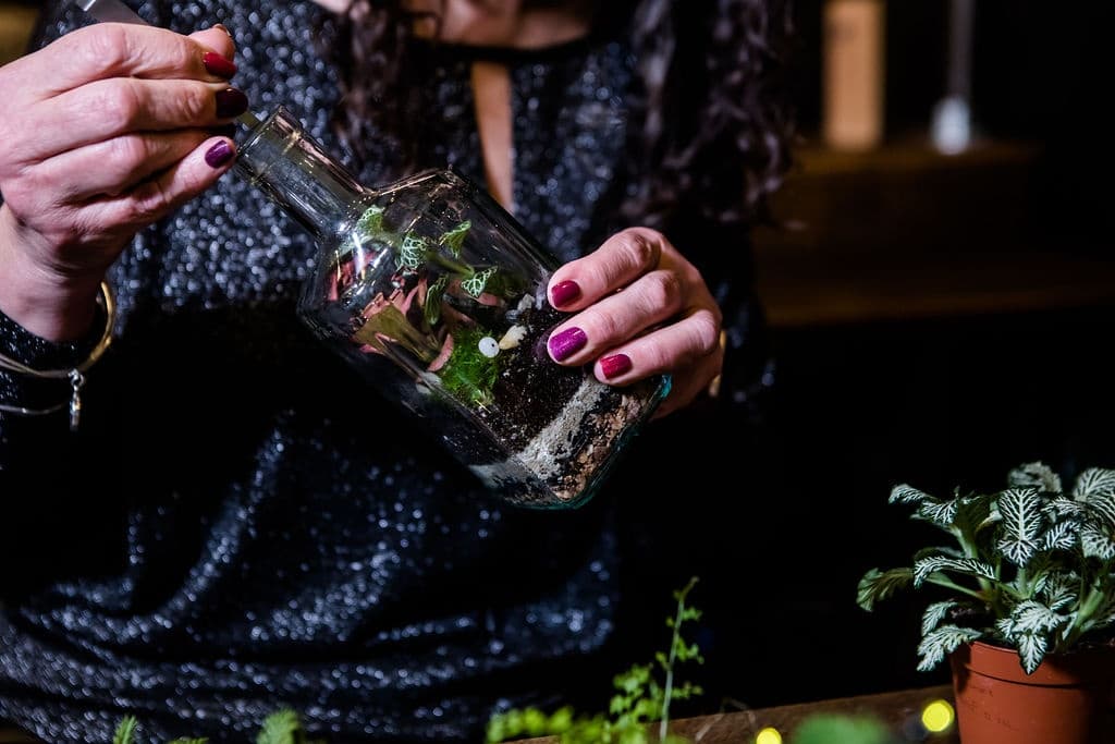 York Gin Bottle Terrarium Workshop: Build a Mini Tropical Garden with Alice photo 2