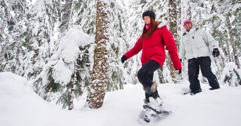 Medicine Trail Snowshoe Adventure with Canadian Wilderness