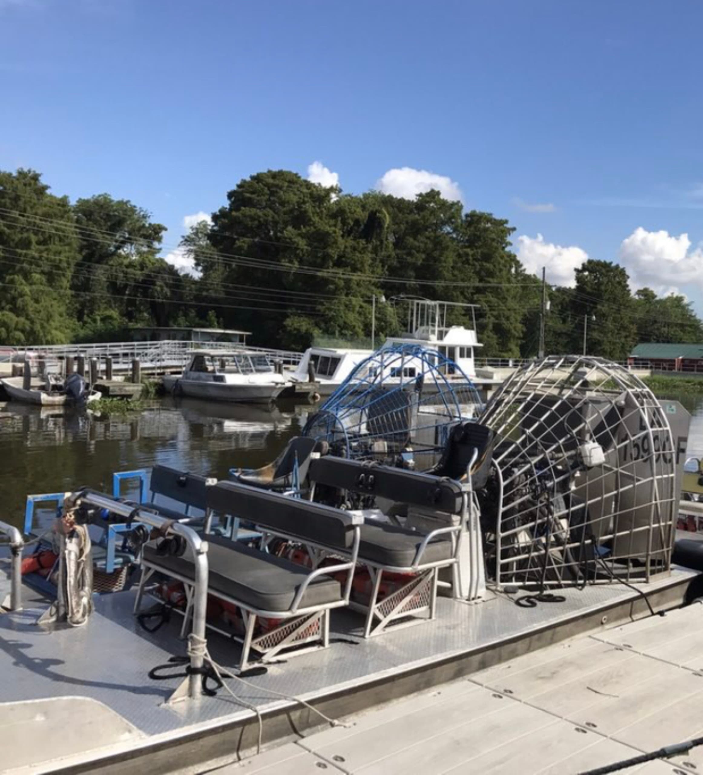Water-Activities & N’awlins Luxury Tours: Cajun Swamp Adventure