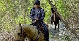 Private 60-Minute River Trail Ride in Buellton, CA