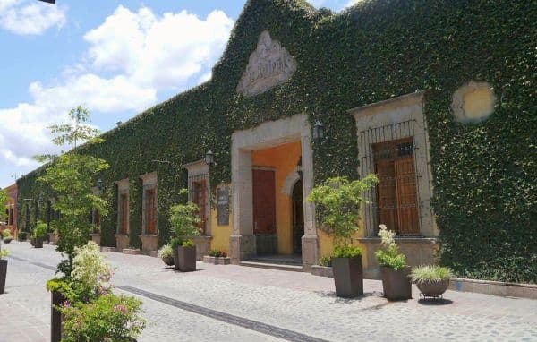 Land Adventures in Jalisco with Jose Cuervo Tour