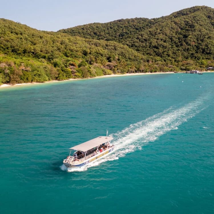 Fitzroy Island Day Trip from Cairns: Snorkel Reefs, Rainforest Walks & Beach Time