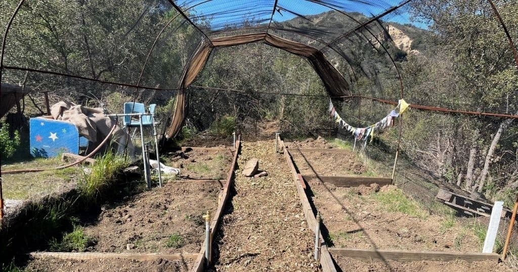 Land Adventures at Topanga Community Garden