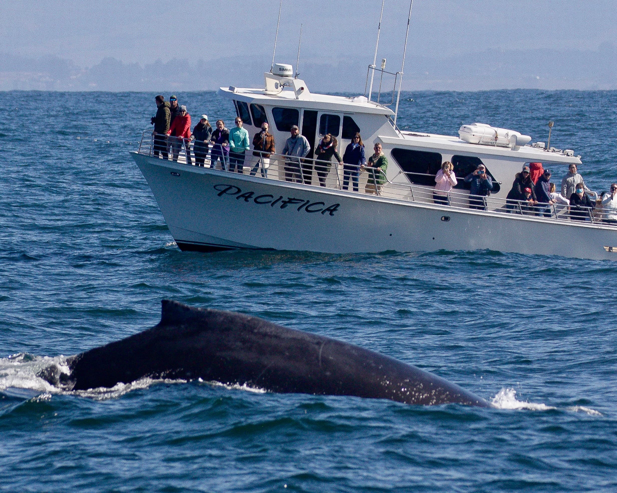 Discovery Whale Watch team