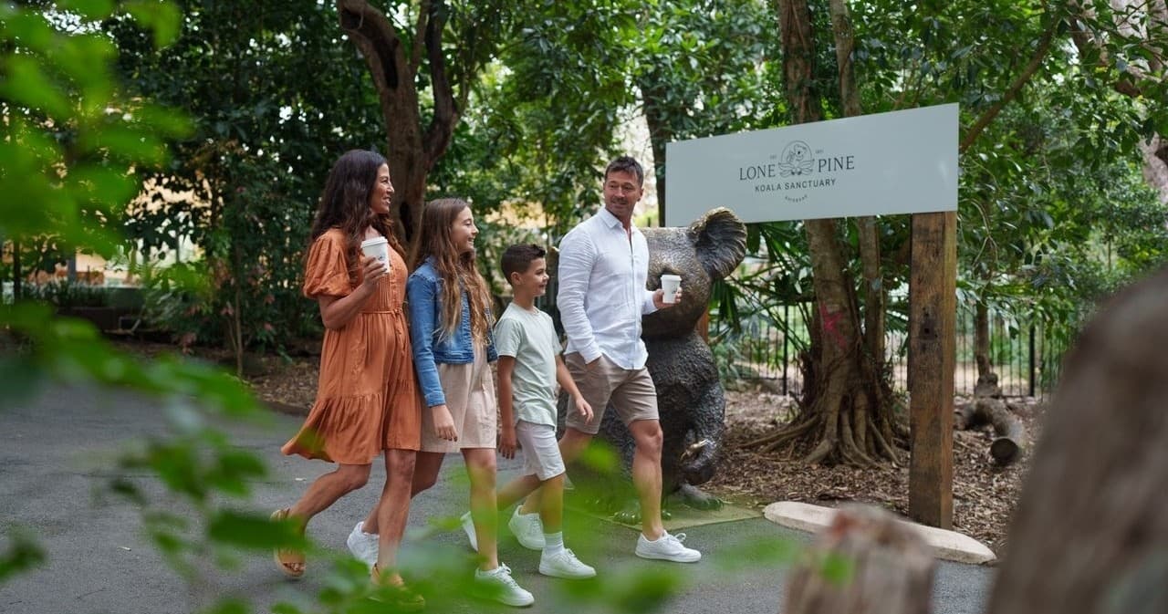 Land Adventures: Brisbane Private Tour with Lone Pine Sanctuary & Mt. Coot-tha