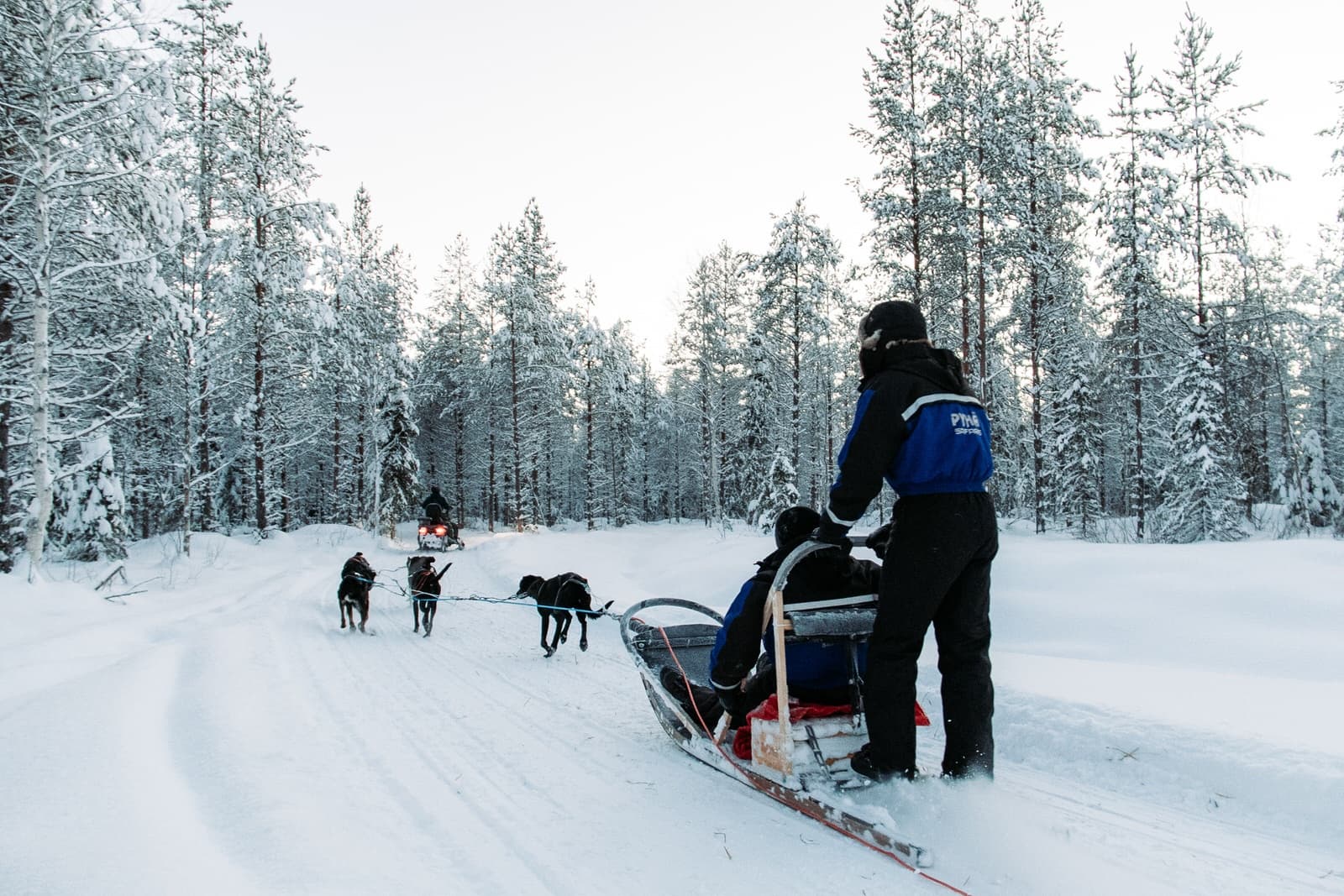 10 km Husky Safari at Pyhätunturi: 45-Min Sled Ride with Pyhä Husky Farm photo 1