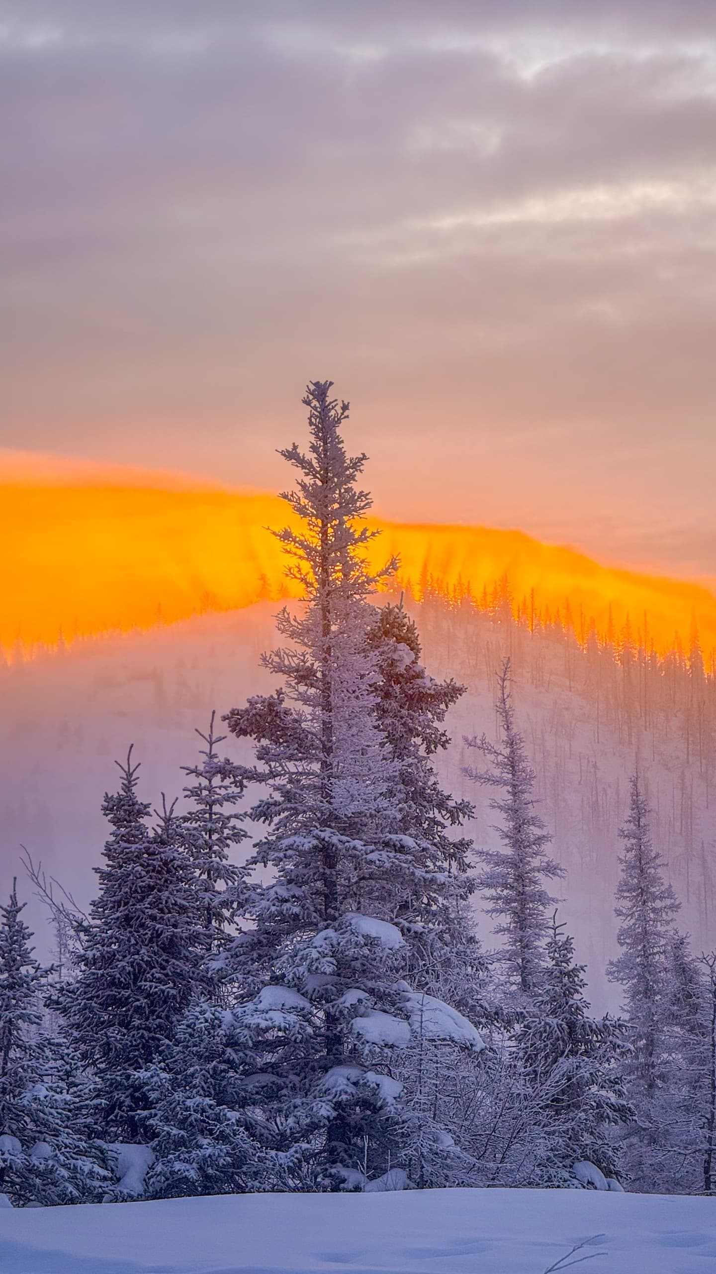 Chena Hot Springs Beginner Photography Workshop: Shoot Better Photos in 30 Minutes photo 3
