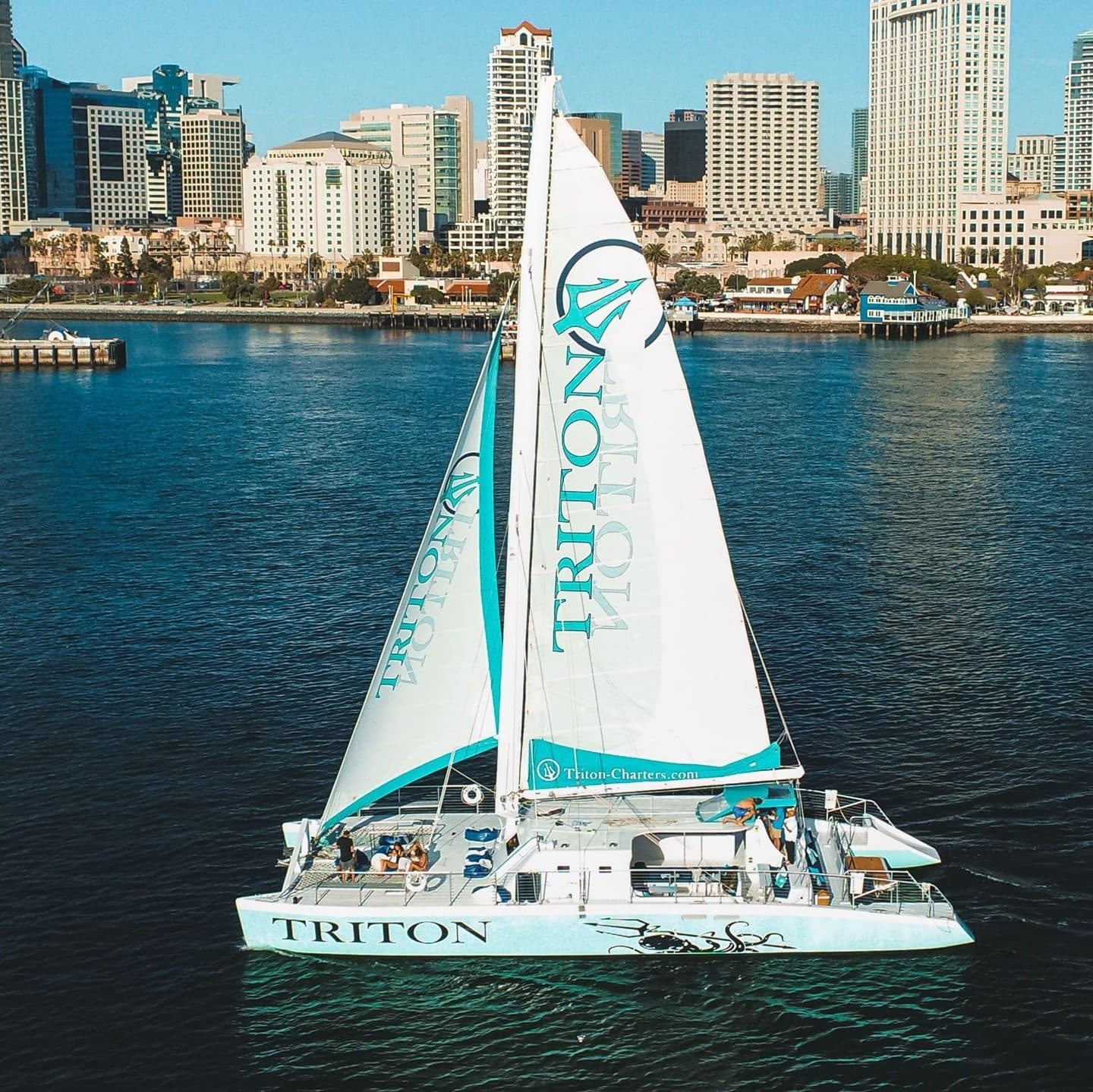 Sailboat catamaran gliding past downtown harbor under clear sky