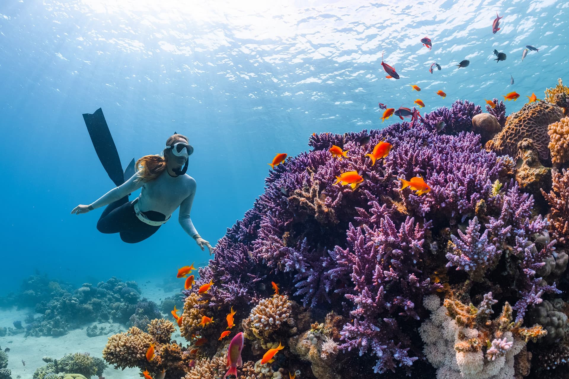 Dive Punta Campanella: Discover Scuba Diving from Sorrento’s Marina Grande