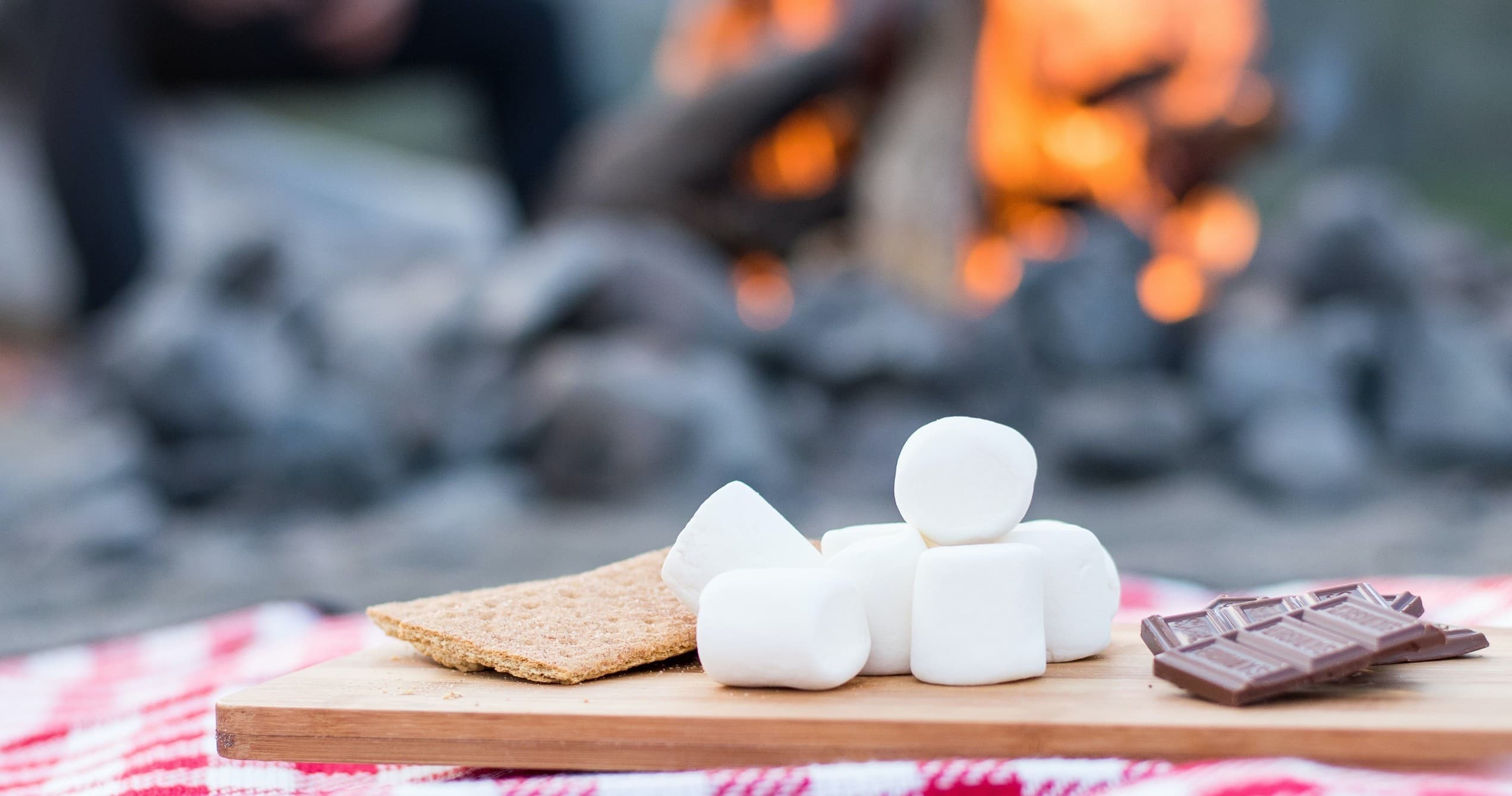 Private S'mores Experience in San Diego, CA