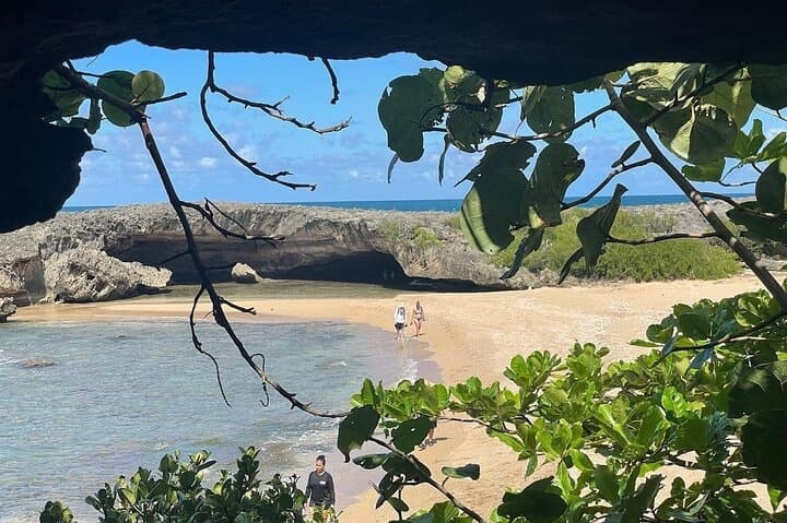 Secluded sandy beach framed by coastal foliage and tide pools