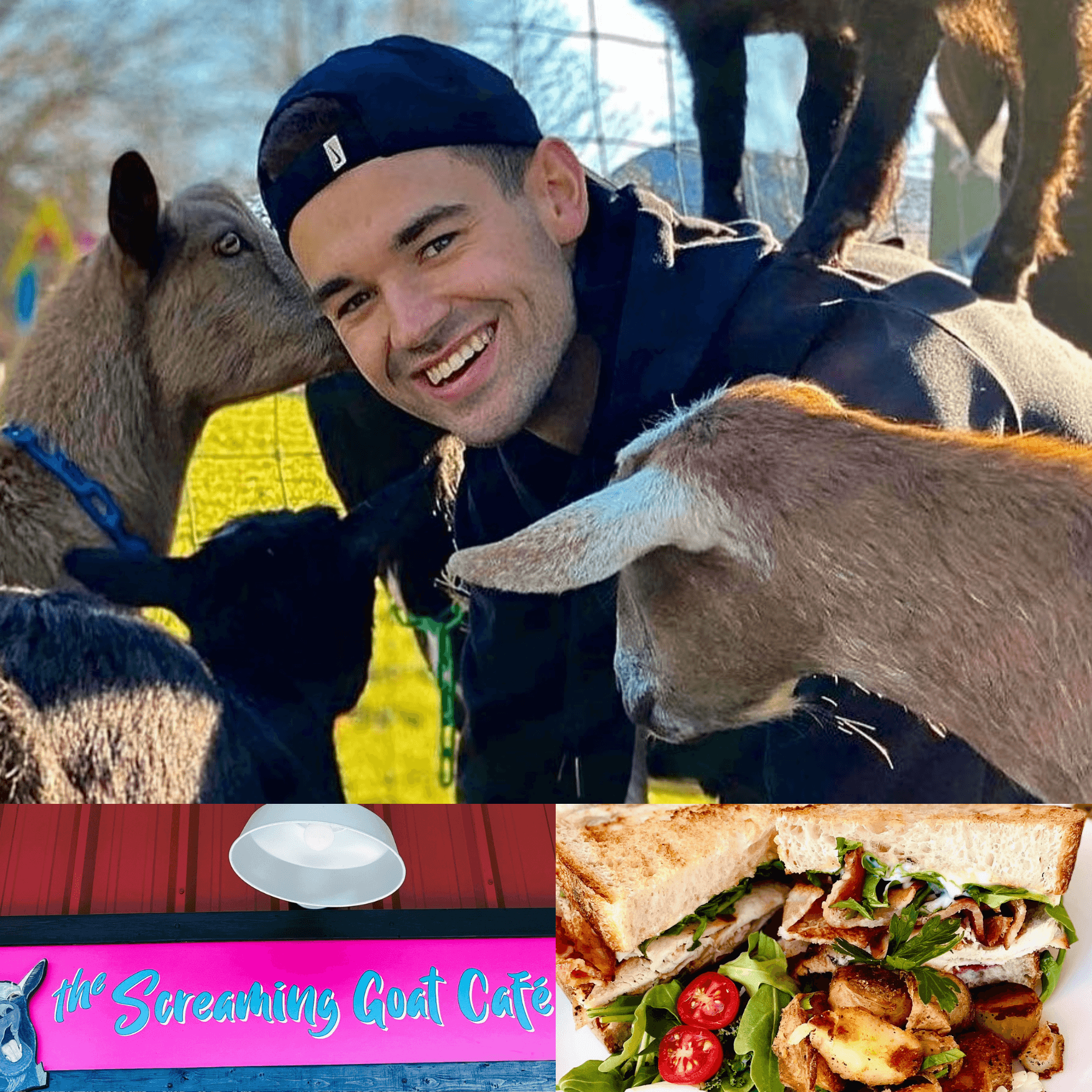 Wildlife & Food Experience at Haute Goat Farm