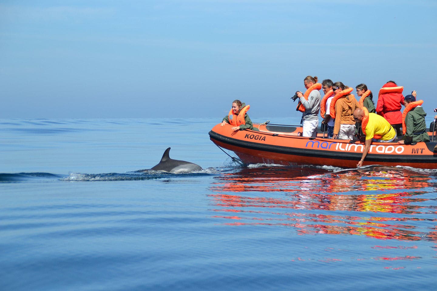 Zodiac tour with passengers spotting dolphin near calm sea