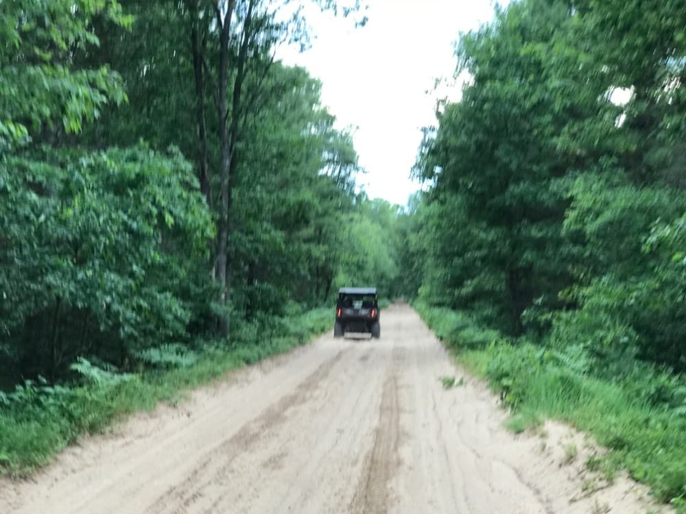 Jeep driving down sandy forest road for scenic off-road route