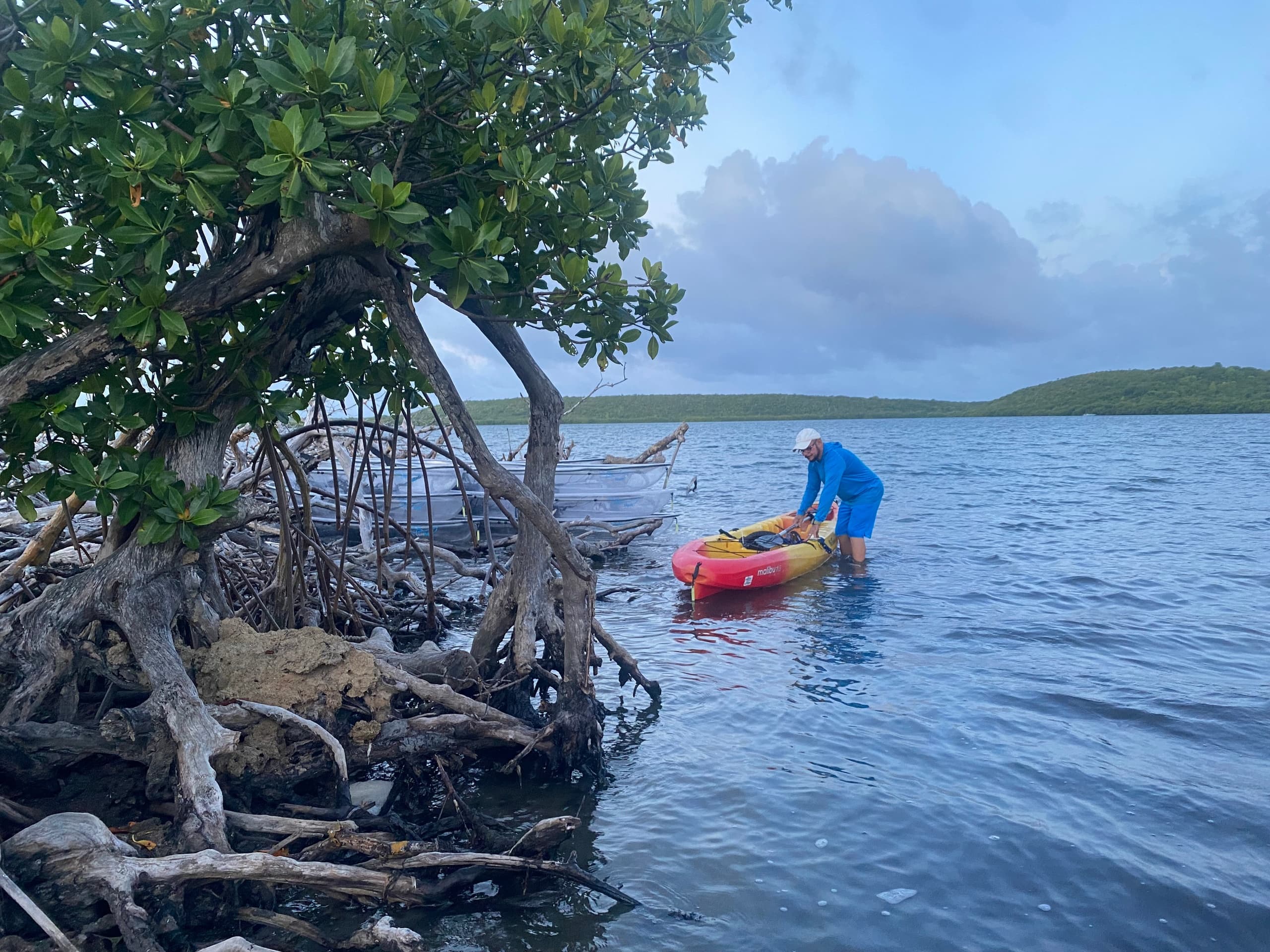 Clear-Kayak Bio Bay Tours in Vieques: Paddle Through Bioluminescent Waters photo 2