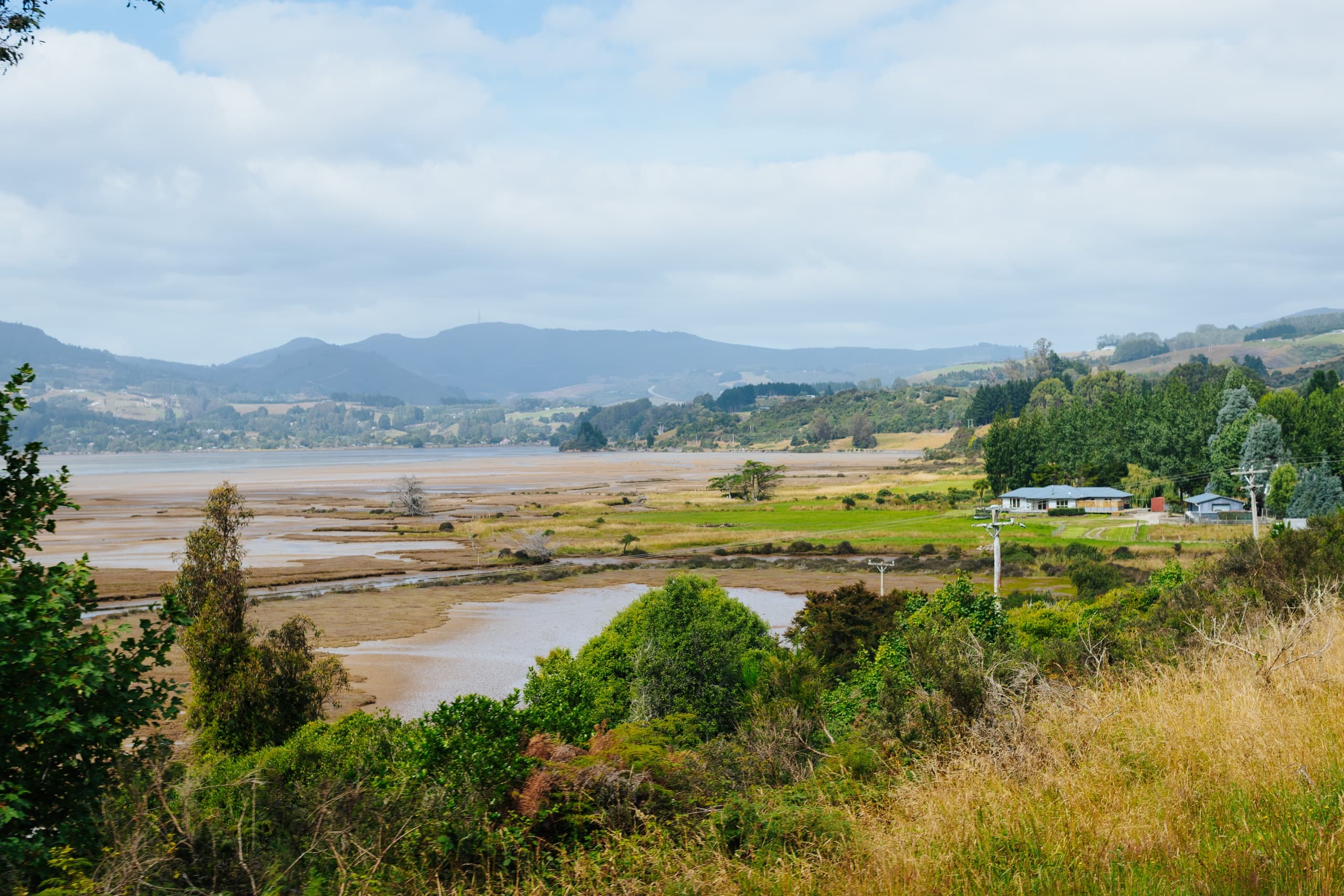 Coastal Geology by Rail: The Wild Seasider Volcano Express from Dunedin photo 2