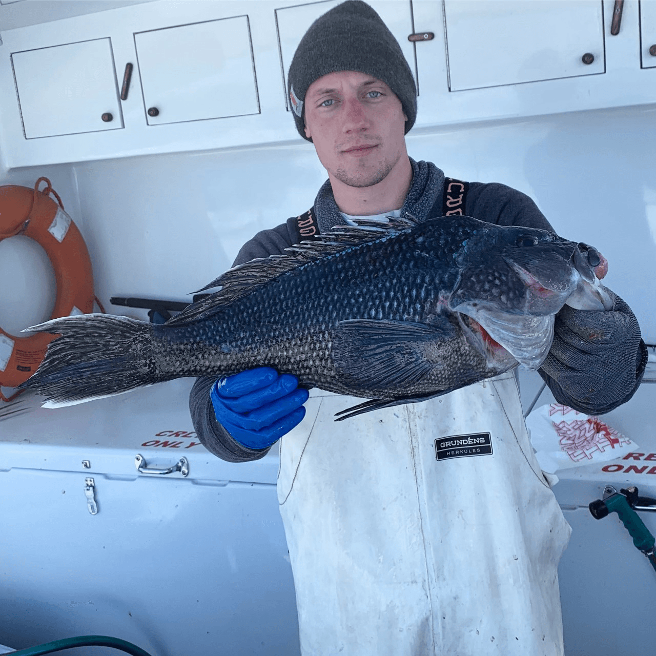 Sea Bass Fishing Adventure Off Virginia Beach