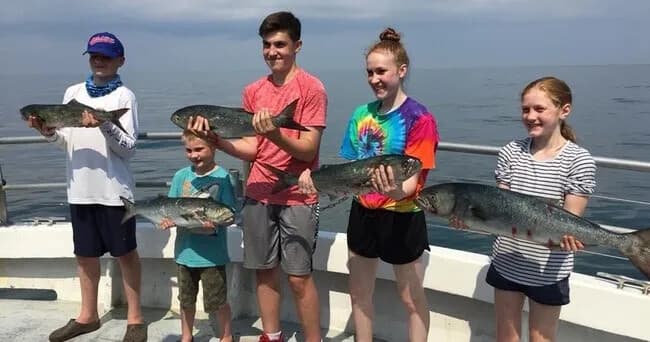 Vineyard Sound Sportfishing: Half-Day Trips from Falmouth, MA