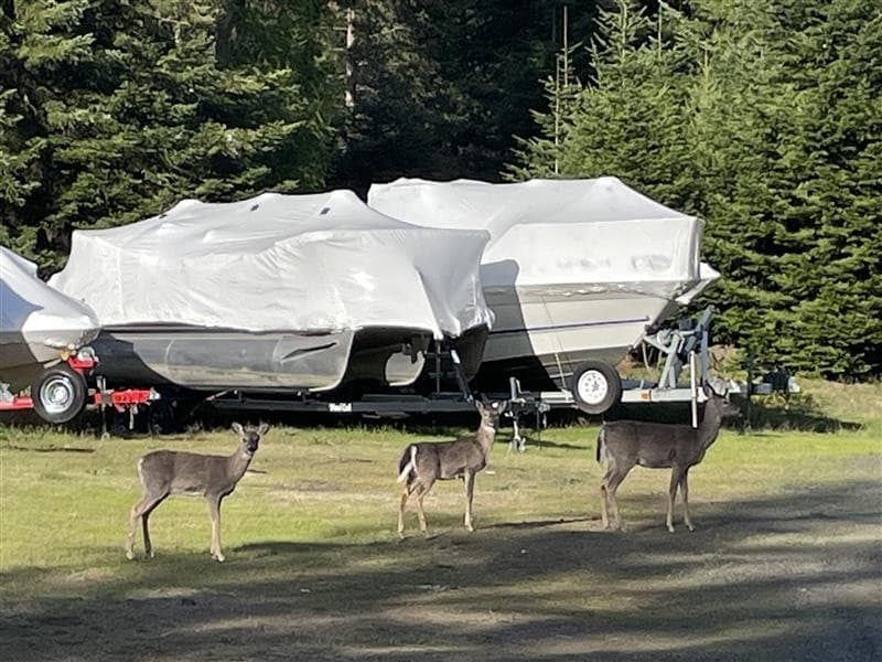 Conkling Dry Boat Storage in Worley, Idaho — Monthly Dry Storage with Unlimited Launches photo 1