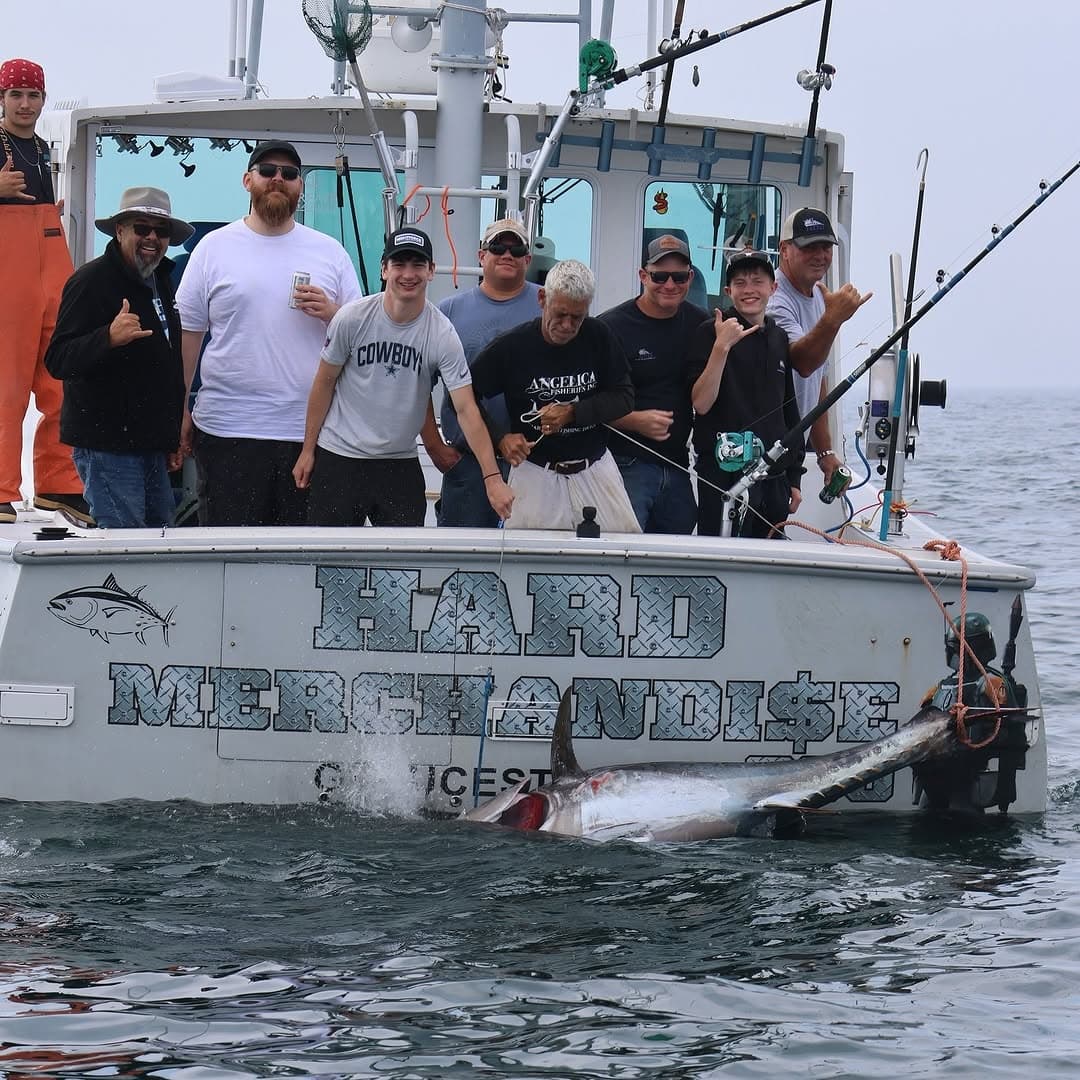 Deep Sea Fishing with Angelica Fisheries in [Location]