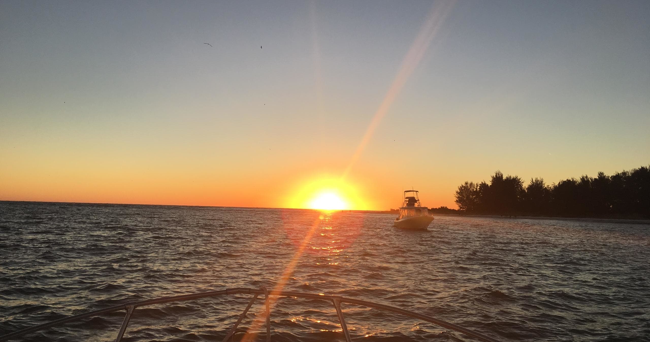 Sunset cruise view over calm Sarasota bay with horizon