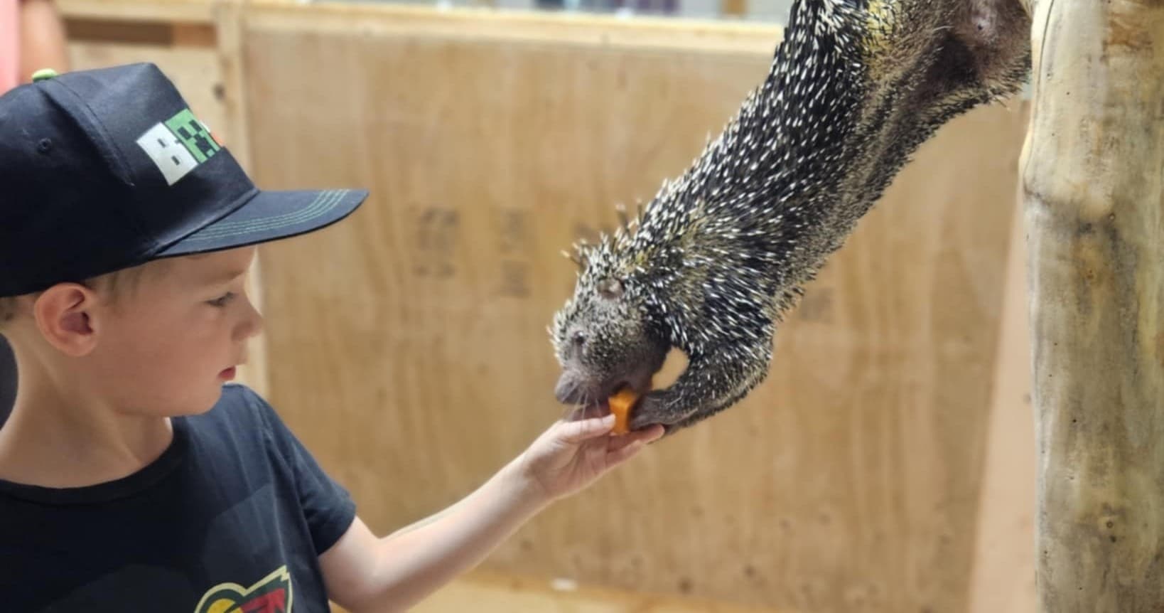 Wildlife & Animal Encounters at Eagle Eye Farm