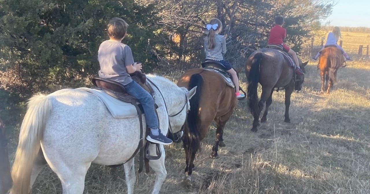 Group horseback riding on shaded woodland trail near field