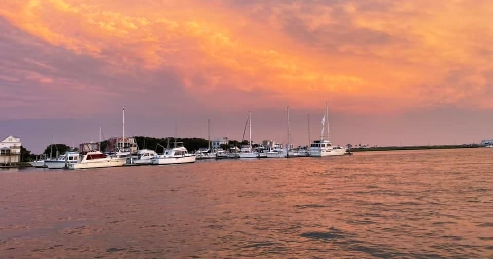 Lady Fin Charters fleet