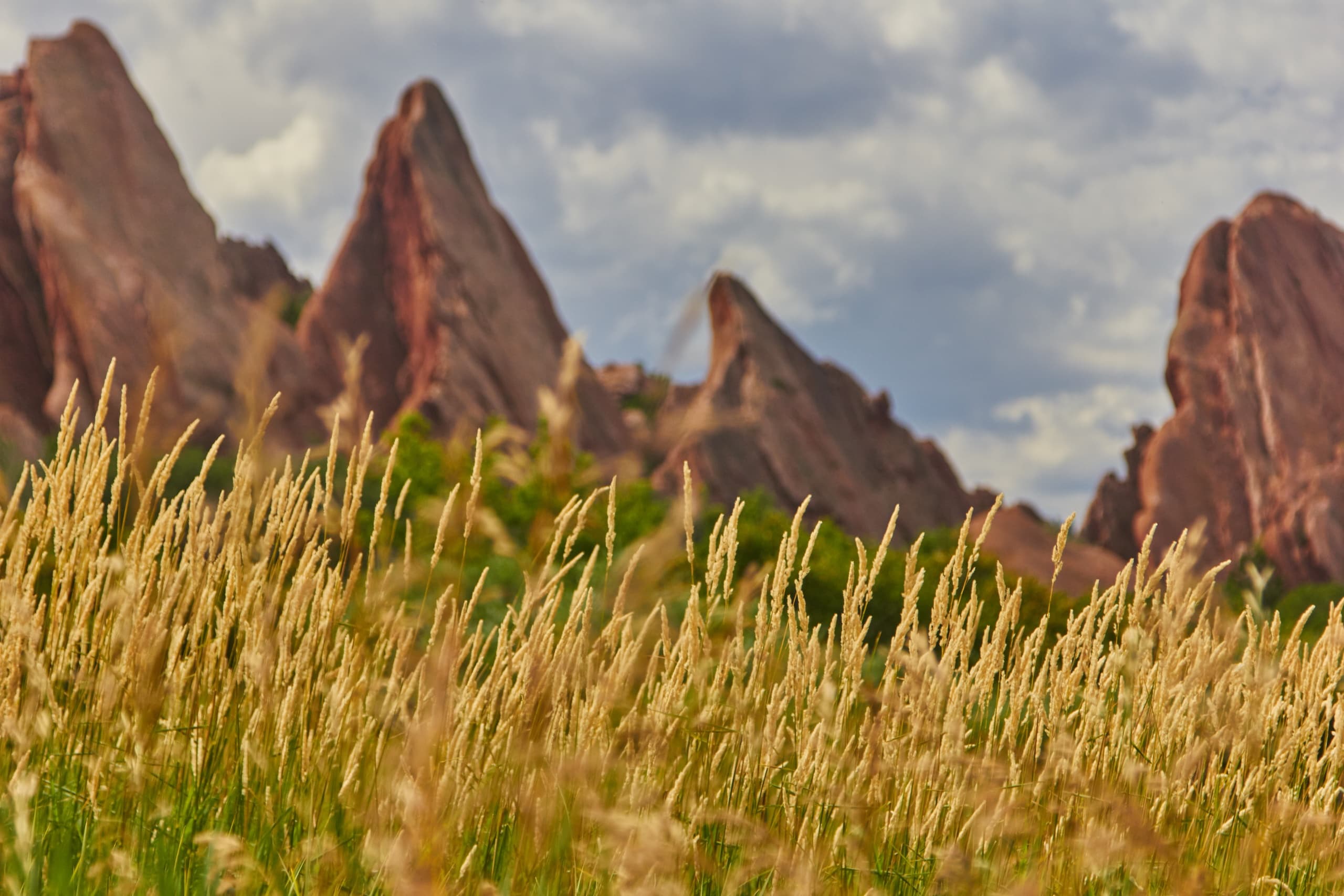 CTA Section Background Image