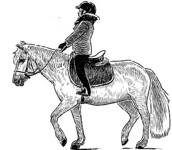 Master Equestrian Skills with Private Lessons at Cougar Mountain Stables in Renton, WA