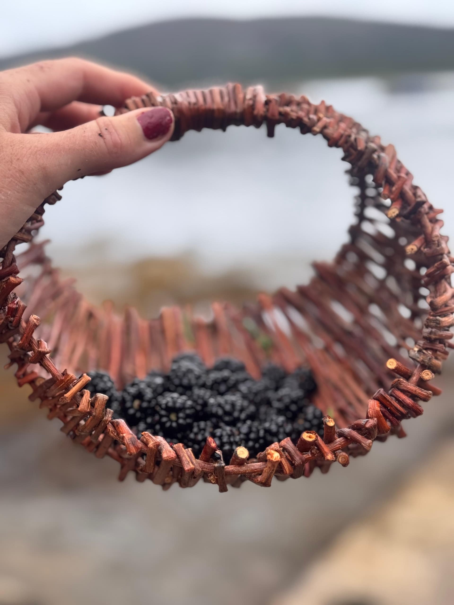 Foraging the Wild Atlantic Way: Seasonal Foraging Events in Donegal
