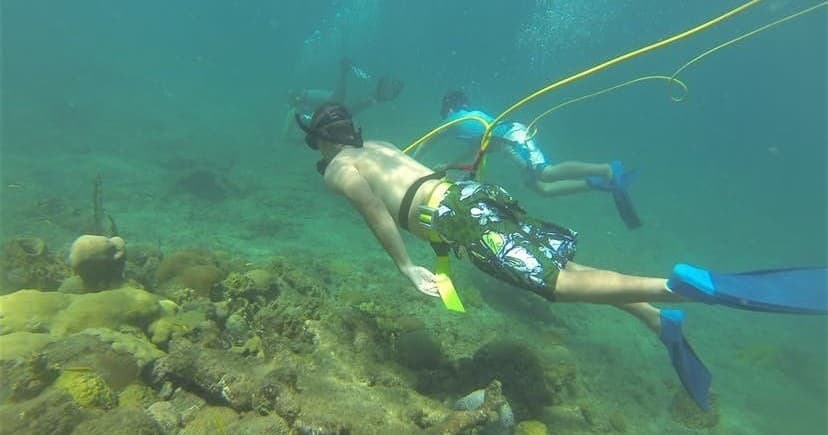 Octo Diving Adventure in Rincón, Puerto Rico
