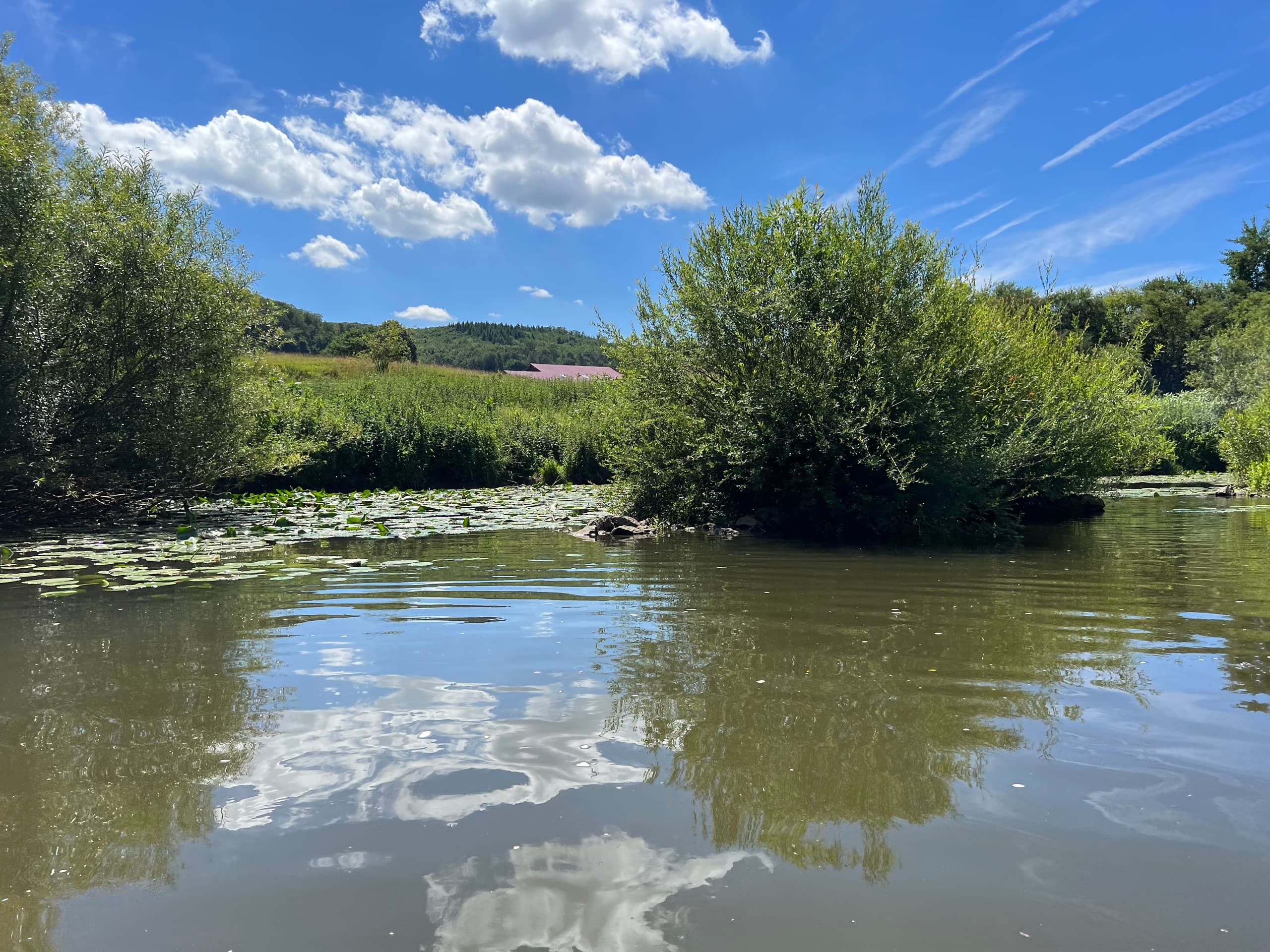 River Canoe Adventure with Weilburger Touristikbetriebe on the Lahn River