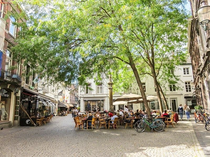 Tree-lined canal with outdoor cafes and cobbled streets in Delft