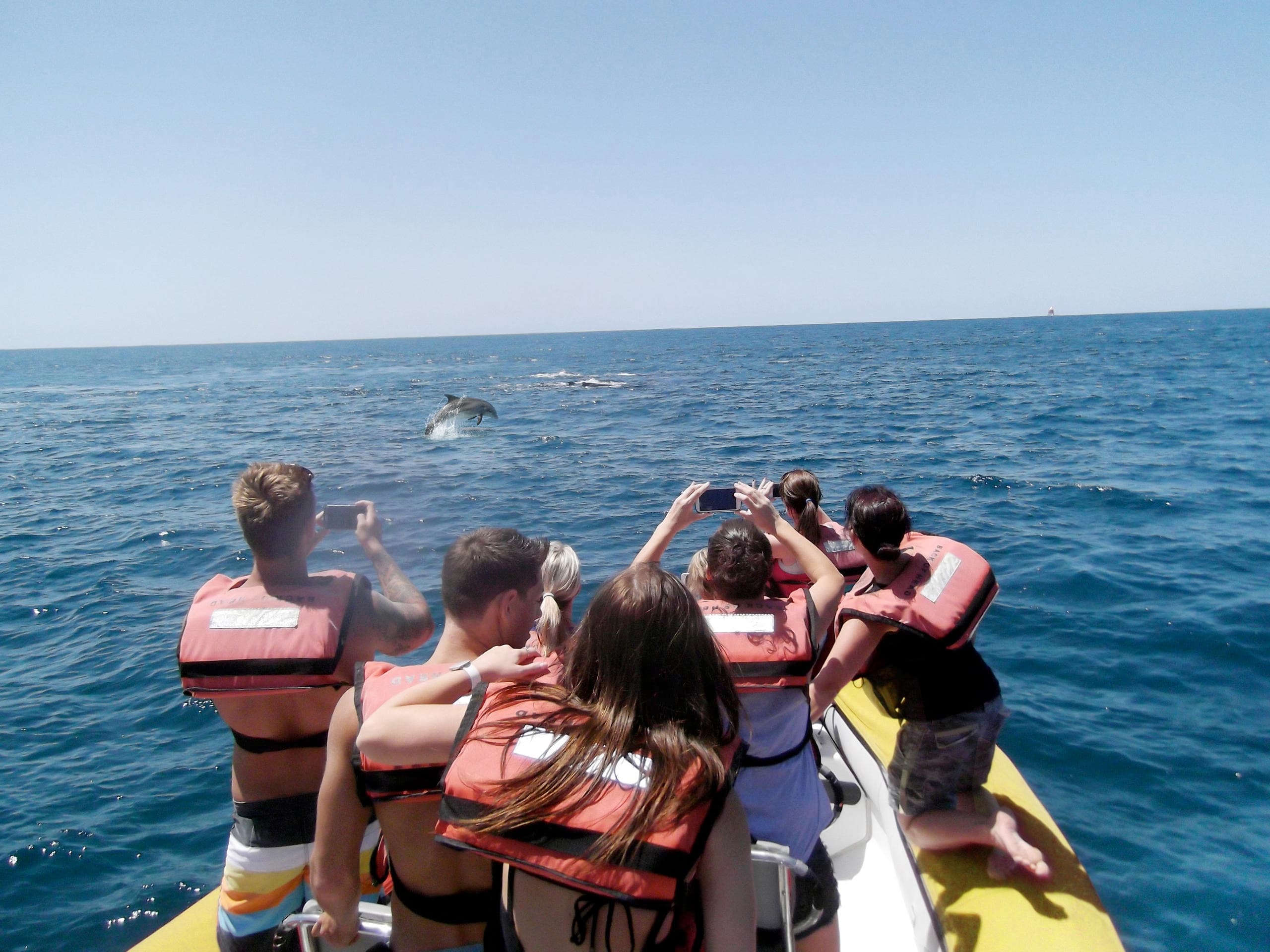 Tourists on rigid boat watching dolphins and ocean views
