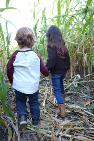 Family Fun & Puzzle Adventure at Secord Corn Maze